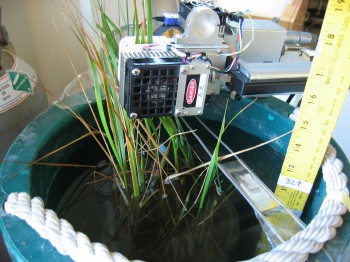 Plant Gas Analyzer Attached to Cordgrass Leaf