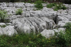 Karst rock in Slovenia.