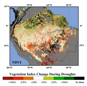 Effects of Drought on Amazon Rainforest Vegetation Greenness