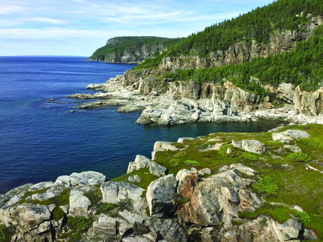 newfoundland_11