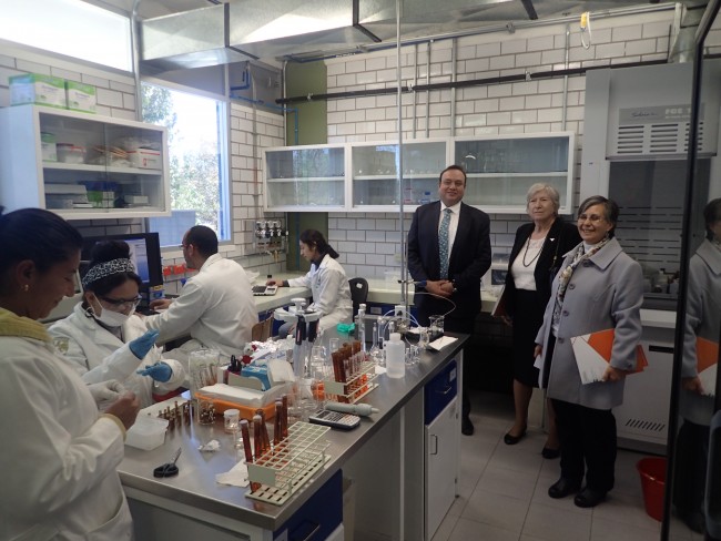 Dean Sharon Mosher visiting UNAM’s geosciences laboratory facilities with Elena Centeno Garcia, director of UNAM’s Institute of Geology and Arturo Iglesias, director of UNAM’s Institute of Geophysics