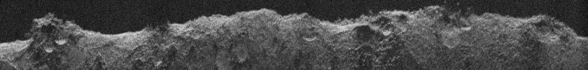Pia26568 Modest
