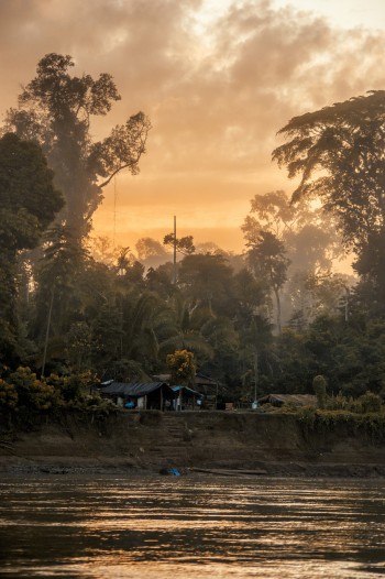 Sunrise over the Amazon rainforest. Wout Salenbien