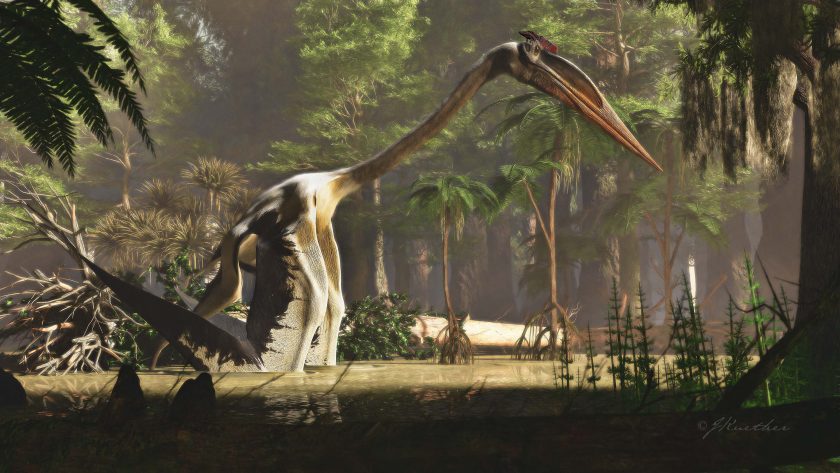Rh Leaping Pterosaur 2