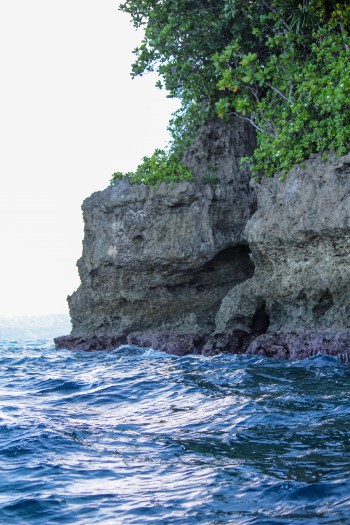 The terraced appearance of this cliff side from the Solomon Islands is a sign of uplift. Each indentation, called a notch, was once at sea level—the notches were caused by erosion of the sea against the rock. Geological events such as earthquakes are gradually lifting the rock higher and higher. Image from Kaustubh Thirumala.