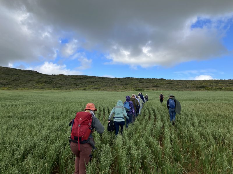 Sa Fieldwork 9