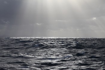 Waves off the coast of New Zealand. Jenny Nakai. 