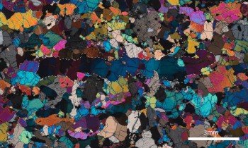 A peridotite xenolith thin section under polarized light. The white dashes outline a large, stretched grain.