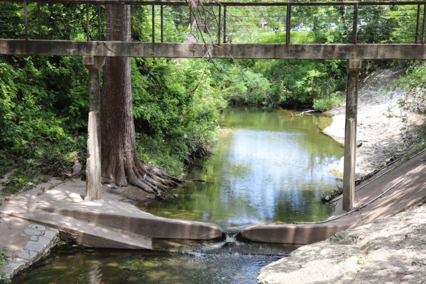 Water runs through Waller Creek, with green trees lining its banks.