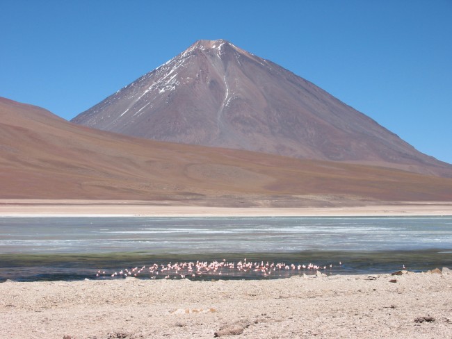 Volcano Licancabur, an active volcano in the Andean continental volcanic arc on the Chile-Bolivia border, looms above flamingos in a nearby lake. Brian Horton.