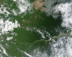 Fires in the Amazon basin of Brazil. Rong Fu's research indicates accelerating deforestation and burning of biomass could decrease rainfall in the region.