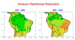 Cook’s computer simulation showed a 70 percent reduction in Amazon rainforest vegetation from the late 20th century to the late 21st century, under a “business as usual” scenario. Green = rainforest, light green = savanna, and orange = caatinga (semi-arid scrubland and thorn forest).