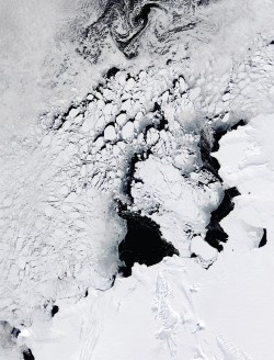 Antarctic Ice