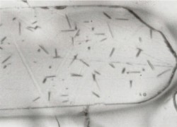 Microscopic tracks in apatite minerals created by the spontaneous fission of Uranium 238 give clues about the thermal history of a sample.