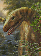 asilisaurus