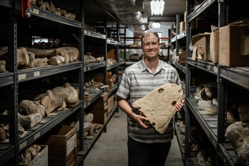 Ben Kligman holding a fossil skull in the Texas Vertebrate Paleontology collections with shelves holding an array of fossils on either side.