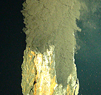 Scientists sailing aboard the RSS James Cook in the Caribbean have found the deepest known hydrothermal vents.