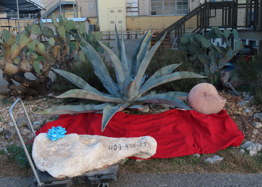 Mystery fossil in front of the Vertebrate Paleontology Laboratory