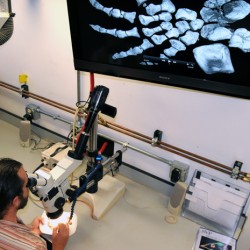 Matt Brown in Paleo Prep Lab