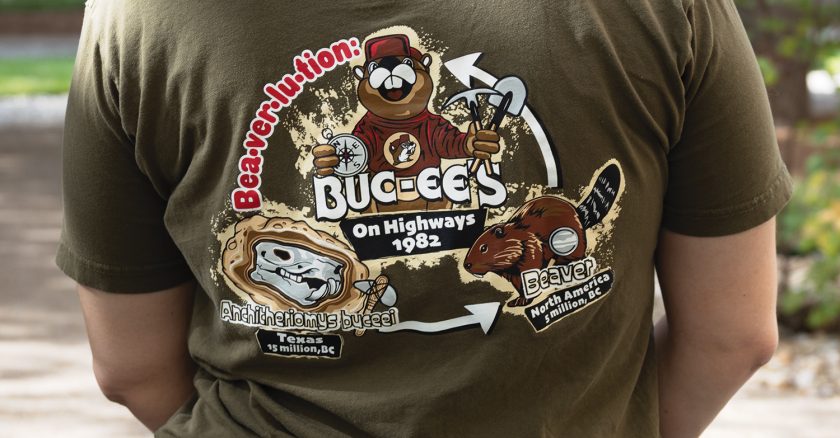 A Buc-ee’s tshirt featuring Anchitheriomys buceei, a species of extinct beaver discovered in the Jackson School collections.