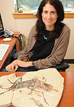 Julia Clarke studies the origin and evolution of birds and related dinosaurs.