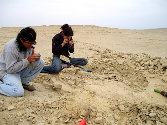 Julia Clarke (right), with Ali Atamirano, at the fossil site for Inkayacu paracasensis.