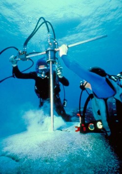 "We look for big ugly ones," said Quinn. Porites coral colonies, such as this one in Ofu lagoon, American Samoa, hold a key to understanding Earth's past climate. See larger image. Photo courtesy of Christina Kellogg, USGS.