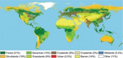 How will the world handle increased croplands? Global cropland for food production is projected to expand this decade. Scanlon’s research shows that if the new cropland is primarily irrigated, it will stress water supplies and water quality, whereas rain-fed croplands could enhance recharge.