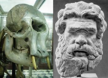 left: a dwarf elephant skull in a museum in Cypress, Malta. Credit: Cccomedy. Right: A sculpture of the cyclops Polyphemos. Credit: Boston Museum of Art.