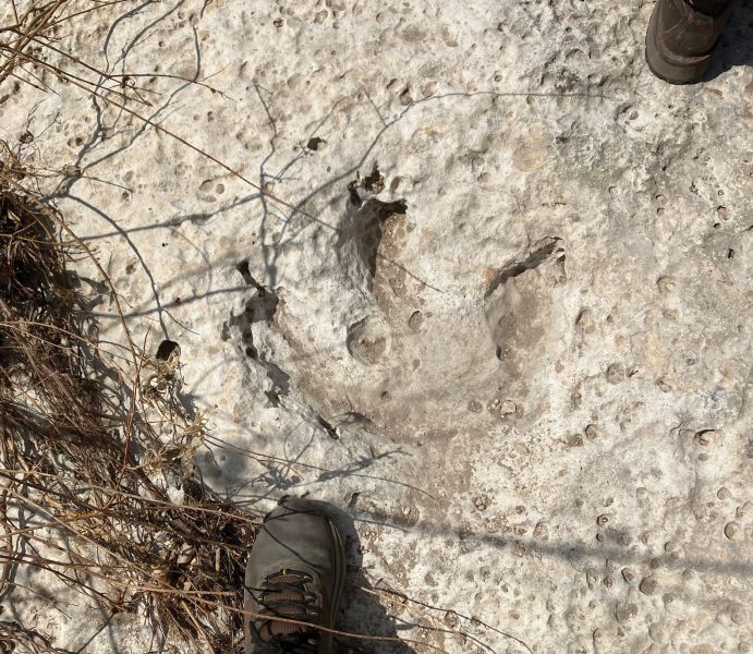 One of the dinosaur footprints revealed by the July 4 floods.