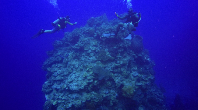 Block of reef margin facies at 110 ft resting on upper slope, Chris Zahm and dive guide Tammara for scale.