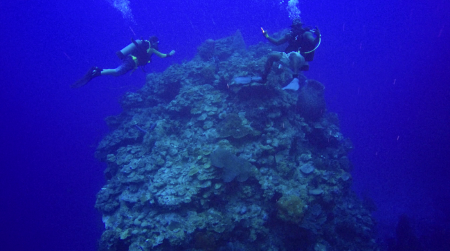 Block of reef margin facies at 110 ft resting on upper slope, Chris Zahm and dive guide Tammara for scale. 