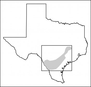 Eagle Ford Shale Map