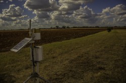 Soil moisture sensors installed by the Jackson School will provide data to more accurately predict droughts and floods in Texas and help a new NASA satellite predict weather on a global scale. Richard Casteel.