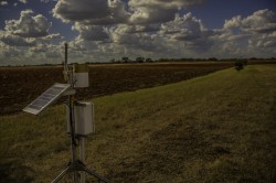 Soil moisture sensors installed by the Jackson School will provide data to more accurately predict droughts and floods in Texas and help a new NASA satellite predict weather on a global scale. Richard Casteel. 