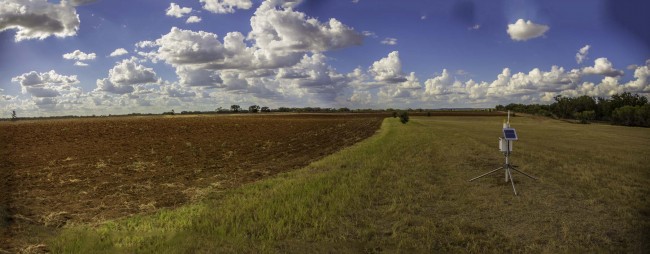 fredericksburg field work5