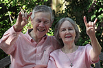 The Hollands