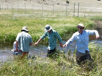 Lee Bobbitt, Ian Hanes and Peter Carlson setting up the dye/salt trace.