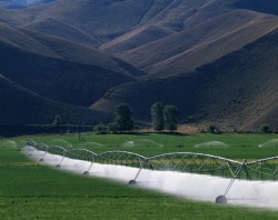 Photo by Jack Dykinga, USDA.