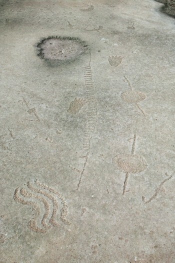 Rock art at Lewis Canyon.