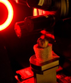Several of Lucy's skeletal elements, including the right distal radius (arm bone) were scanned with an ultra high-resolution Xradia MicroXCT scanner. Custom-built foam mounts were constructed to safely hold the specimens in the scanner. Photo: Marsha Miller.
