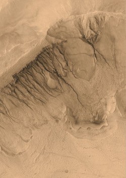 Do these channels on Mars signal a wetter past? This image was taken from the orbiting Mars Global Surveyor. Credit: Malin Space Science Systems, MGS, JPL, NASA. 