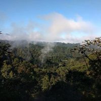 Mashpi Cloudforest Photo Fernanda Duque