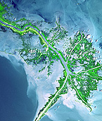 For decades, sea-level rise, land subsidence, and a decrease in river sediment have caused vast swaths of the Mississippi Delta to vanish into the sea. Image: NASA.