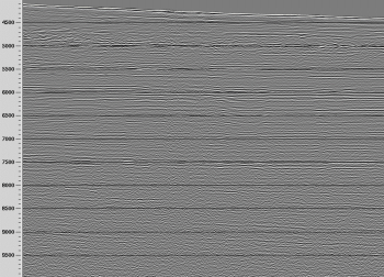 A sample of the reprocessed seismic data.