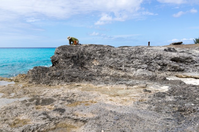 Yaser Al Ayser, studying Pleistocene 5e Cockburn Town Reef exposure.