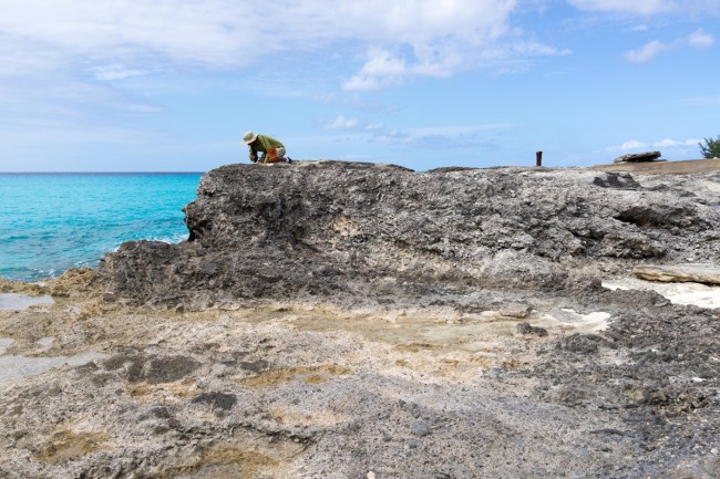 Yaser Al Ayser, studying Pleistocene 5e Cockburn Town Reef exposure. 