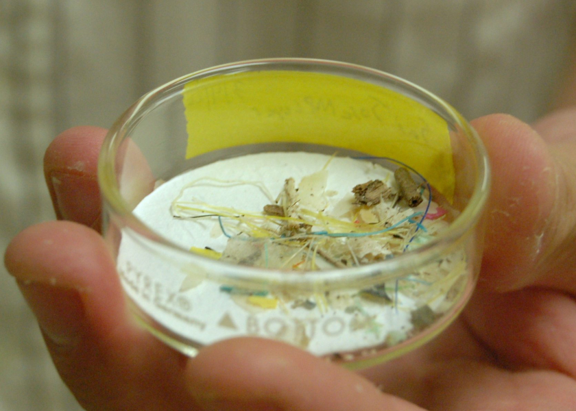テキサスベイのマイクロプラスチックは海に流されています|ジャクソン地球科学学校
