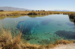 The rich blue green color of Poza Azul makes it a top tourist destination in the Cuatrociénegas valley. Photo: Marc Airhart