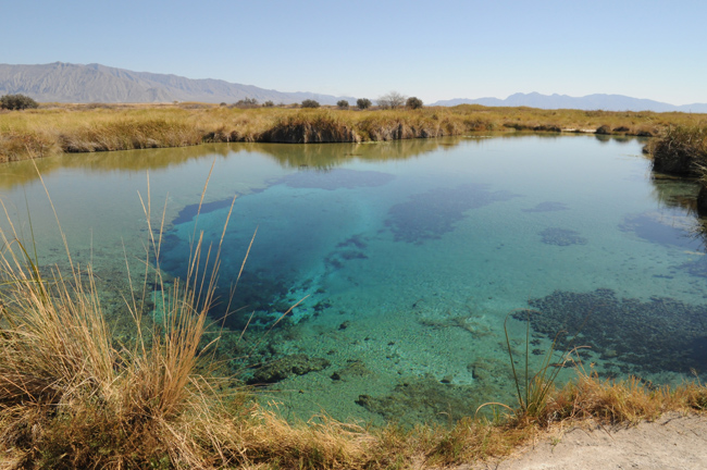 Troubled Waters: Mexican Desert Springs Face Uncertain Future | Jackson School of Geosciences | The University of Texas at Austin